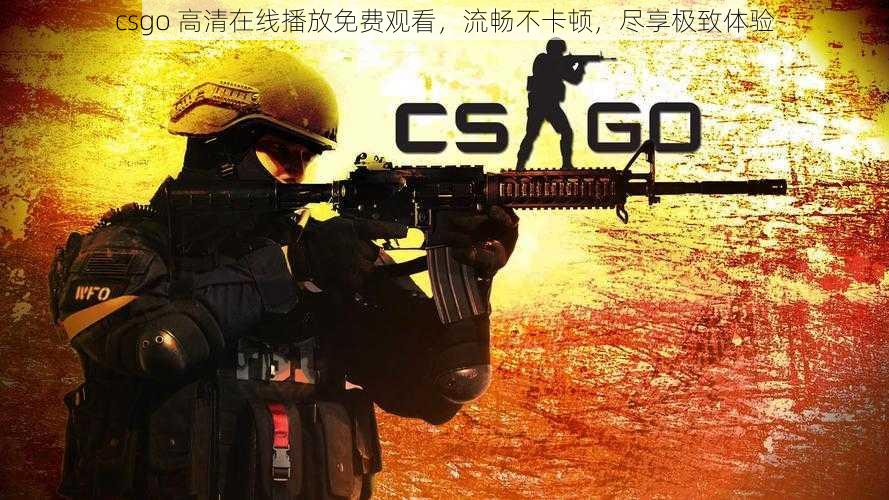 csgo 高清在线播放免费观看，流畅不卡顿，尽享极致体验