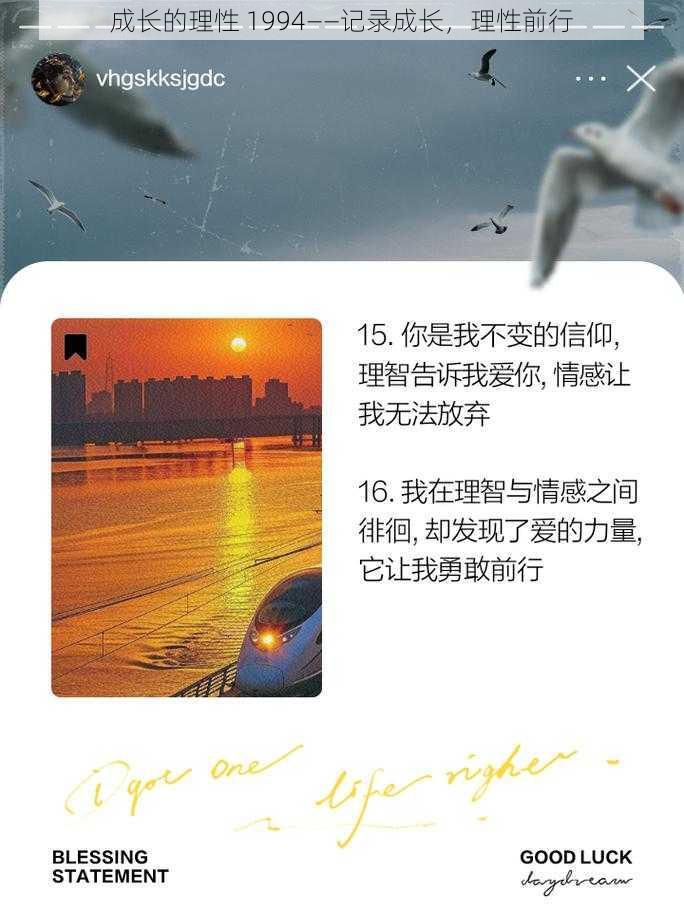 成长的理性 1994——记录成长，理性前行