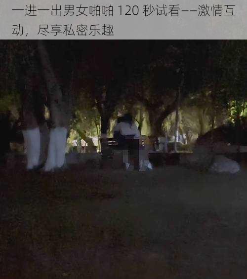 一进一出男女啪啪 120 秒试看——激情互动，尽享私密乐趣