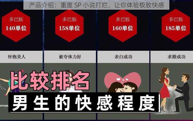 产品介绍：重度 SP 小说打烂，让你体验极致快感