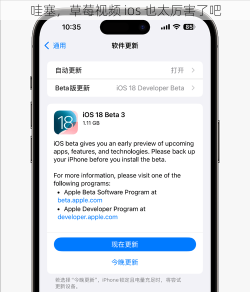 哇塞，草莓视频 ios 也太厉害了吧