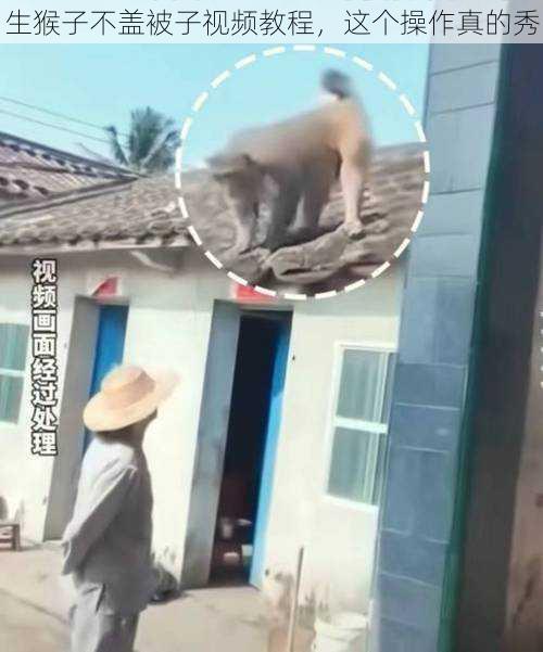 生猴子不盖被子视频教程，这个操作真的秀