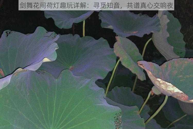 剑舞花间荷灯趣玩详解：寻觅知音，共谱真心交响夜