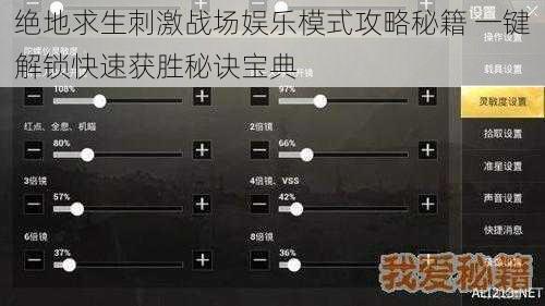 绝地求生刺激战场娱乐模式攻略秘籍 一键解锁快速获胜秘诀宝典