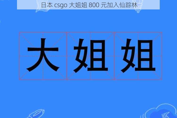 日本 csgo 大姐姐 800 元加入仙踪林