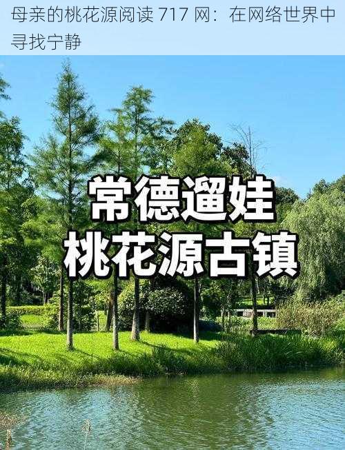 母亲的桃花源阅读 717 网：在网络世界中寻找宁静