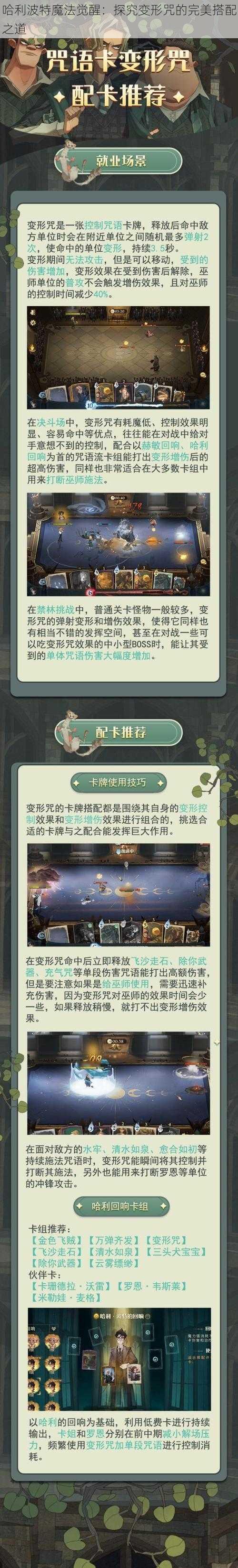 哈利波特魔法觉醒：探究变形咒的完美搭配之道