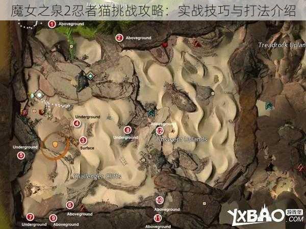 魔女之泉2忍者猫挑战攻略：实战技巧与打法介绍