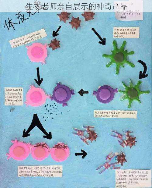 生物老师亲自展示的神奇产品